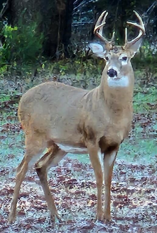 15751 N3070 Rd, Mulhall, OK 73063 - photo 5