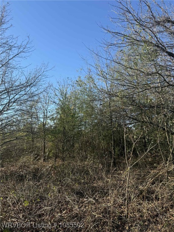 Tract 12 Lakeview Dr, Spiro, OK 74959 - photo 5