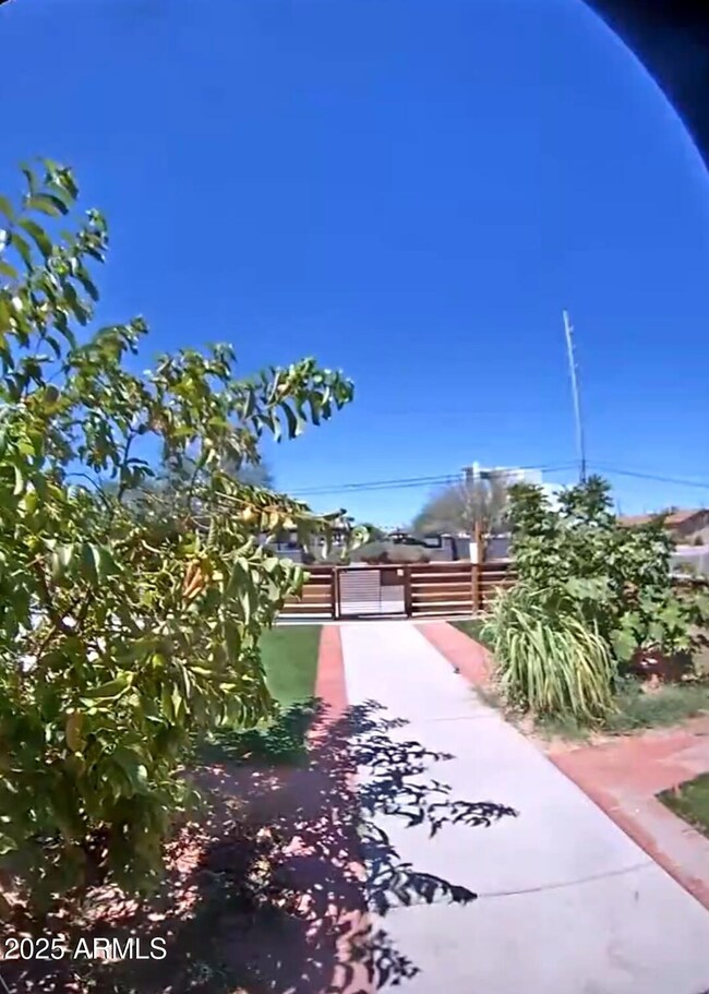 1825 E Adams St, Phoenix, AZ 85034 - photo 6