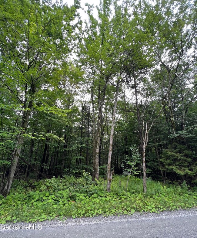 View from Road