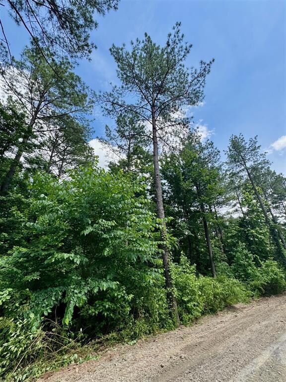 125 Pawpaw Trail, Broken Bow, OK 74728 - photo 5