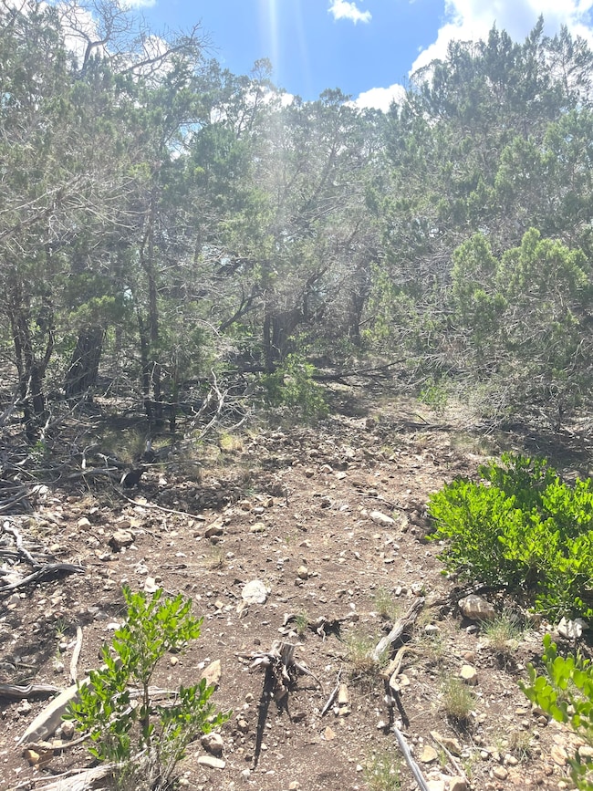 854 Pole Crave Creek Rd, Leakey, TX 78873 - photo 7