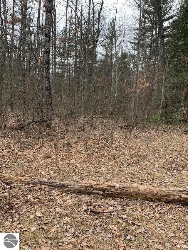 0 Morrison Rd unit 1898517, Alger, MI 48610 - photo 4