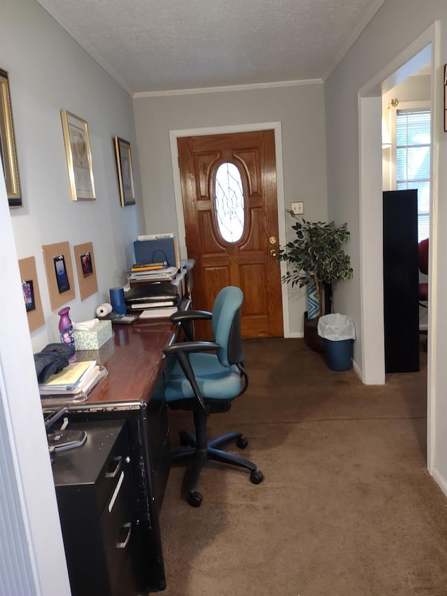 Carpeted home office with baseboards, a textured c