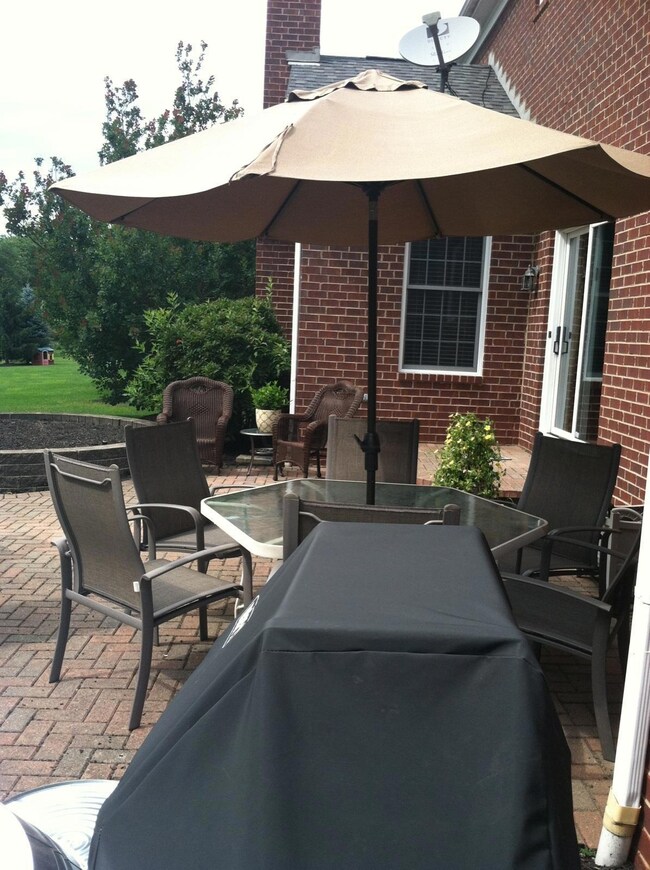 Back patio