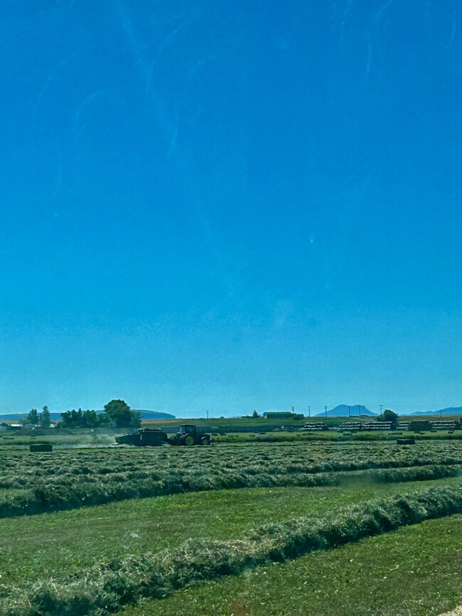 NHN S 1st Rd, Fort Shaw, MT 59443 - photo 5