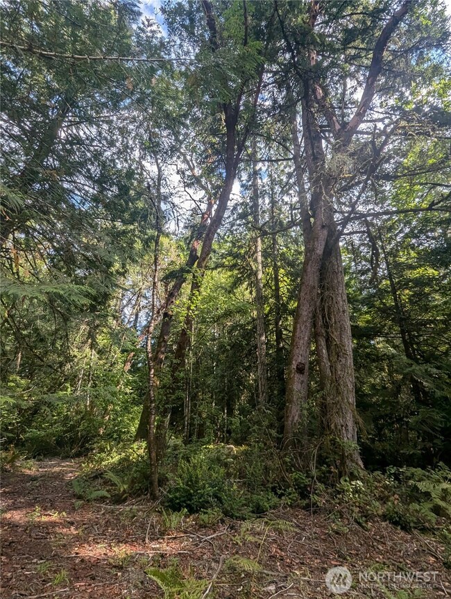 8900 Adams Ln NW, Olympia, WA 98502 - photo 5