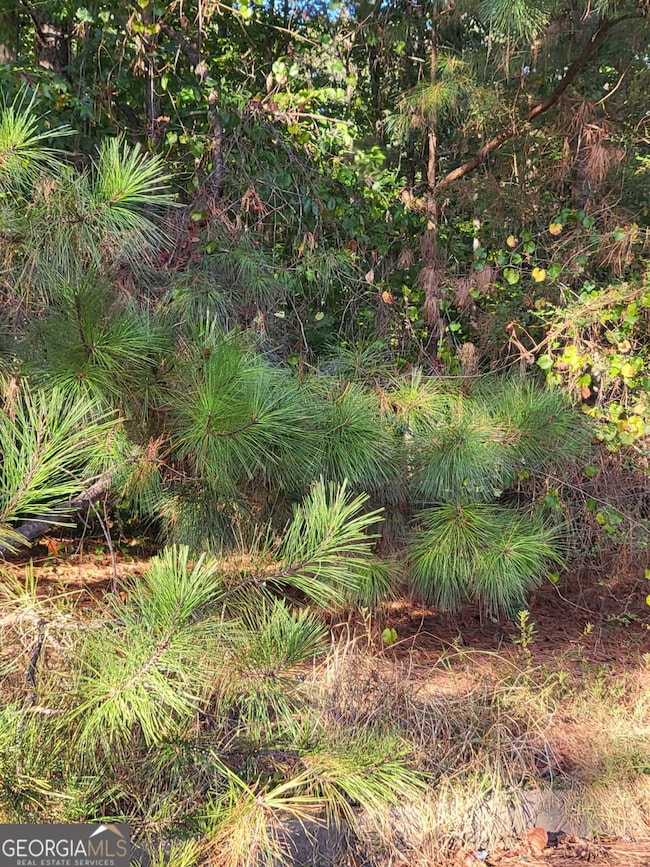 1013 Columbus Dr, Jonesboro, GA 30236 - photo 2