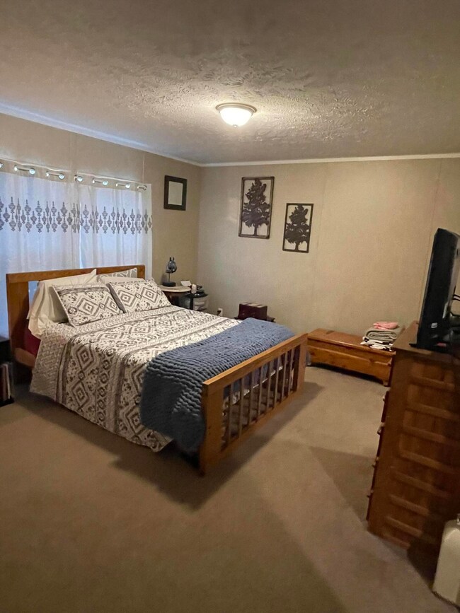 1595 Old Mountain Rd, Greeneville, TN 37743 - photo 7