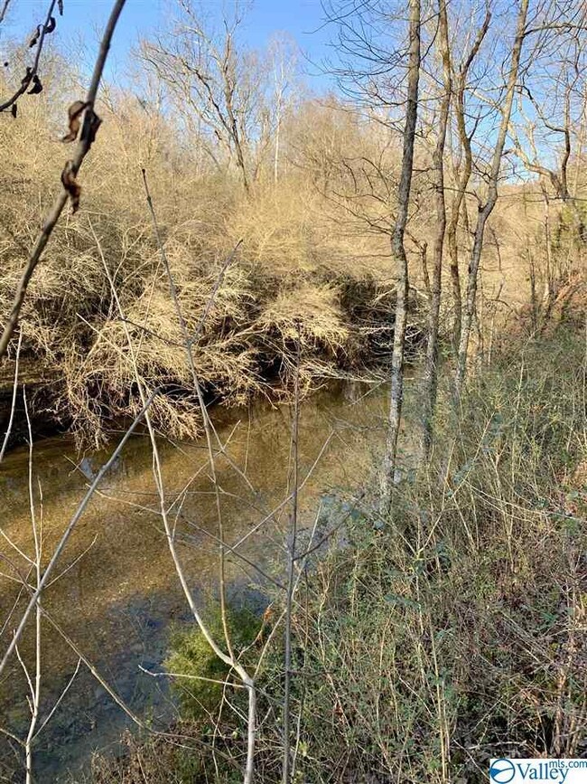 1349 County Road 117, Rogersville, AL 35652 - photo 7