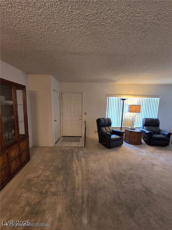 Living area featuring carpet floors and a textured