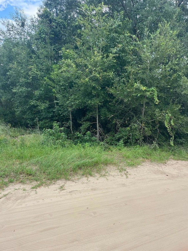 771 NW 57 Th Ave, Ocala, FL 34482 - photo 2