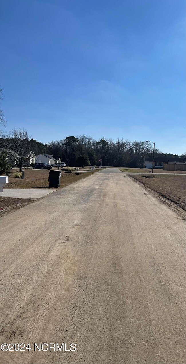 13 Aspen Ridge Ct, Deep Run, NC 28525 - photo 4