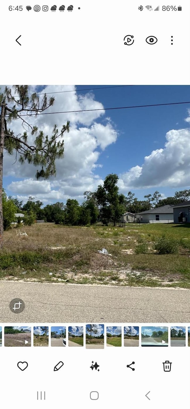 2421/2423 Joe Ave S, Lehigh Acres, FL 33973 - photo 6