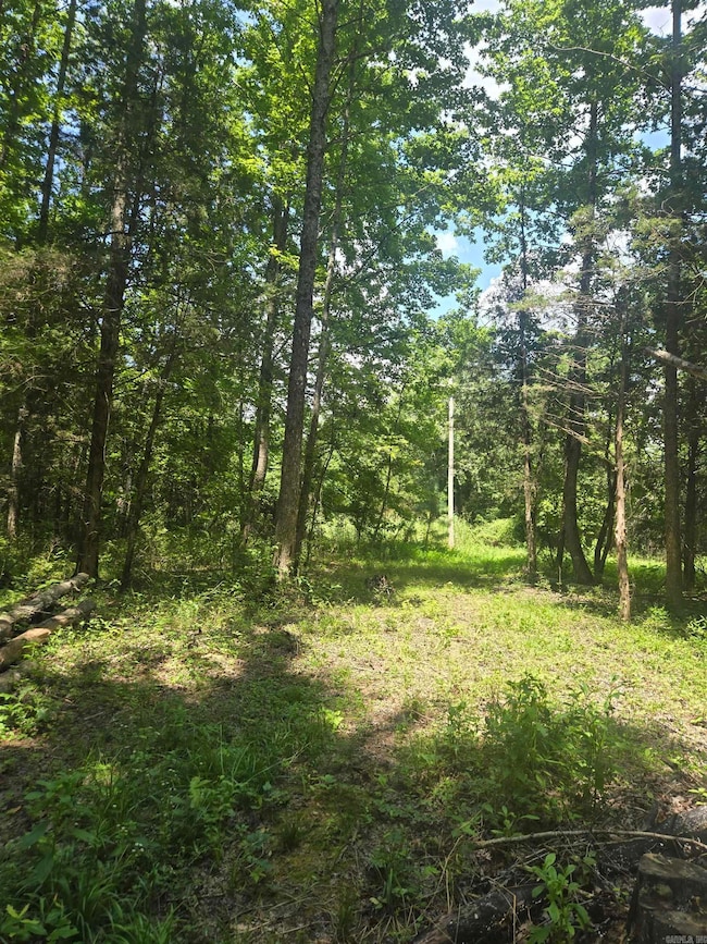 1084 Pickens Chapel Rd, Letona, AR 72143 - photo 6