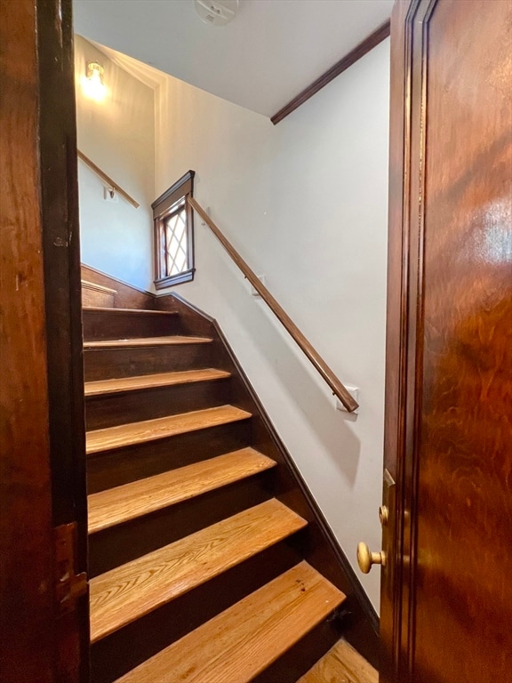 15 Century St unit 2, Medford, MA 02155 - photo 2