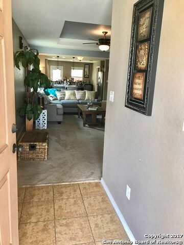 3834 Bent Grass, San Antonio, TX 78261 - photo 3