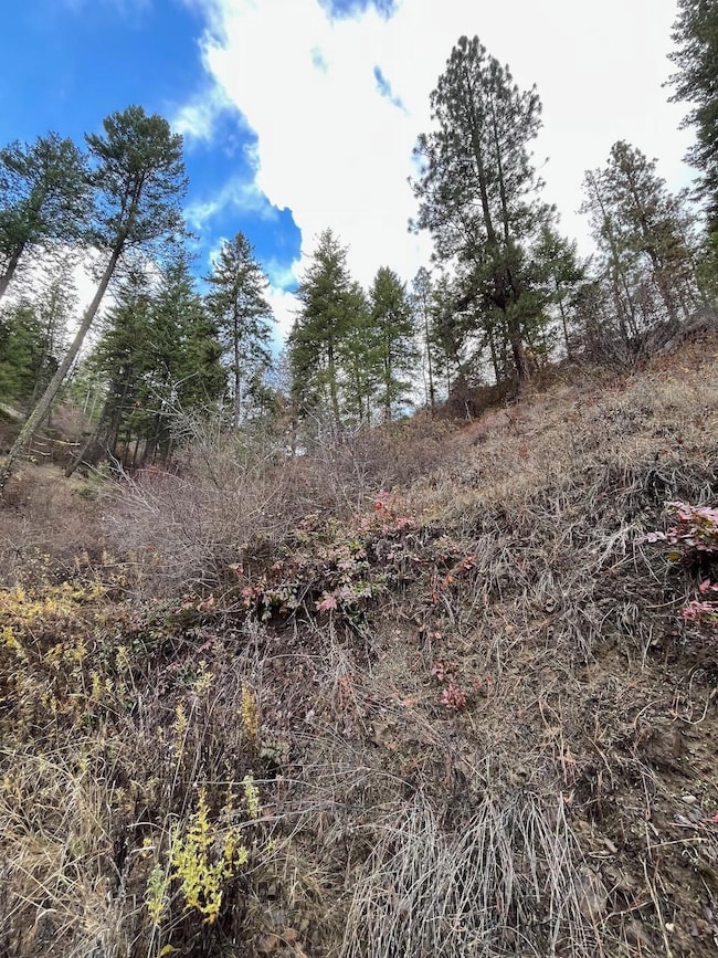 Lot 15&16 N Chuckar Ln, Davenport, WA 99122 - photo 7