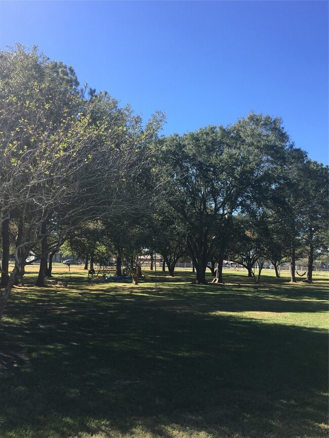 6603 County Road 168, Alvin, TX 77511 - photo 5