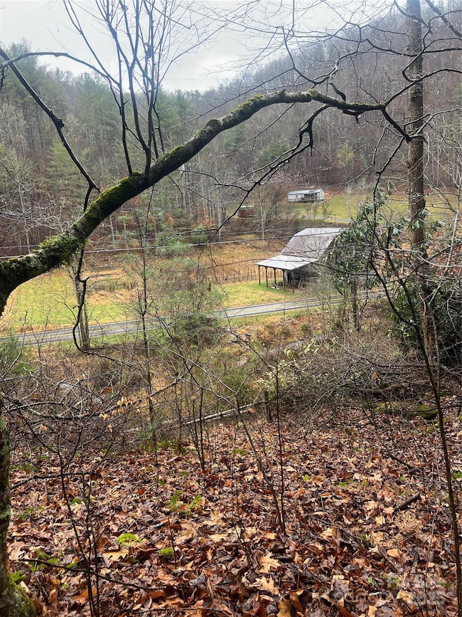 TBD Little Creek Rd, Burnsville, NC 28714 - photo 5