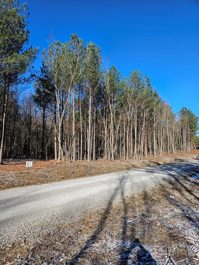 Lot 57 Spokelay Rd, Spencer, TN 38585 - photo 5
