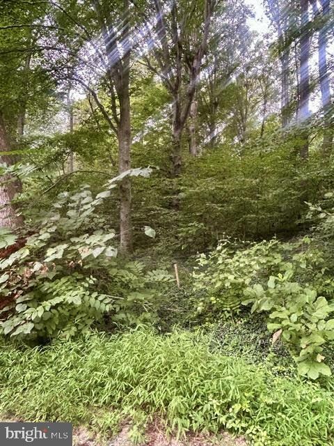 LOT 385 & 957 N Lakeshore Dr, Louisa, VA 23093 - photo 7