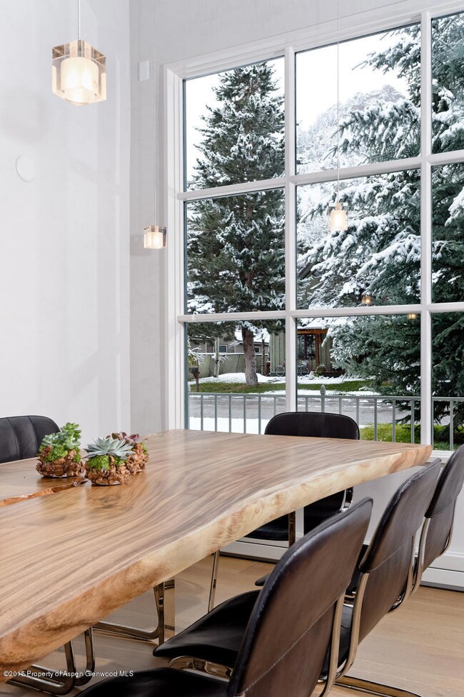 730 W Bleeker St unit 1, Aspen, CO 81611 - photo 7