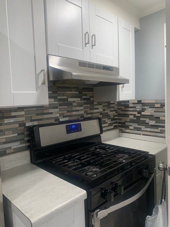 151 Calvary St unit 153, Waltham, MA 02453 - photo 5