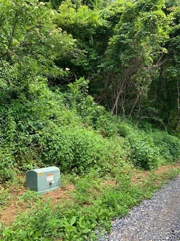 581 Old Newfound Rd unit 1, Leicester, NC 28748 - photo 4