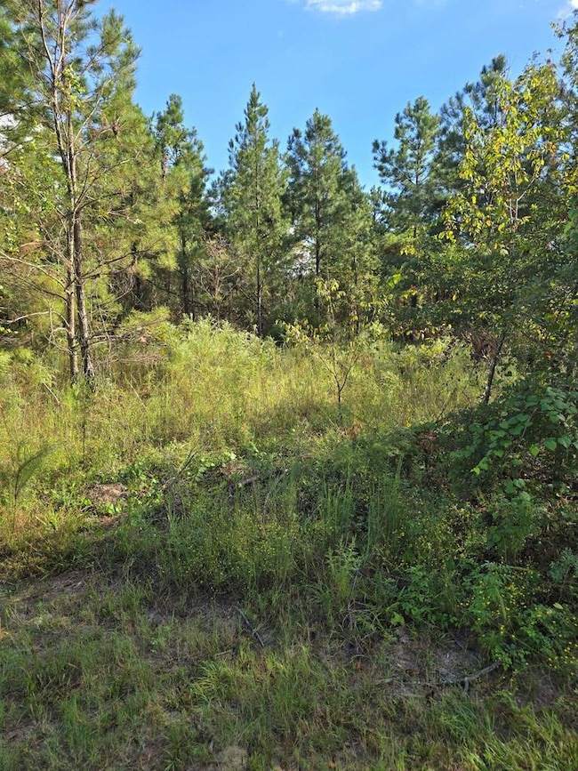 6069 Mullins Ln, Naylor, GA 31641 - photo 5