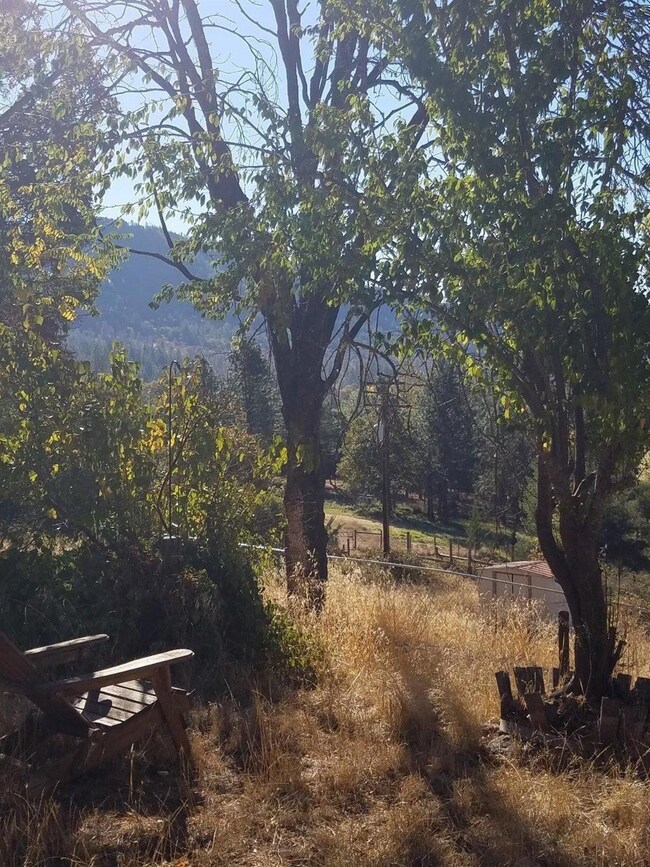 2585 E Evans Creek Rd, Rogue River, OR 97537 - photo 5