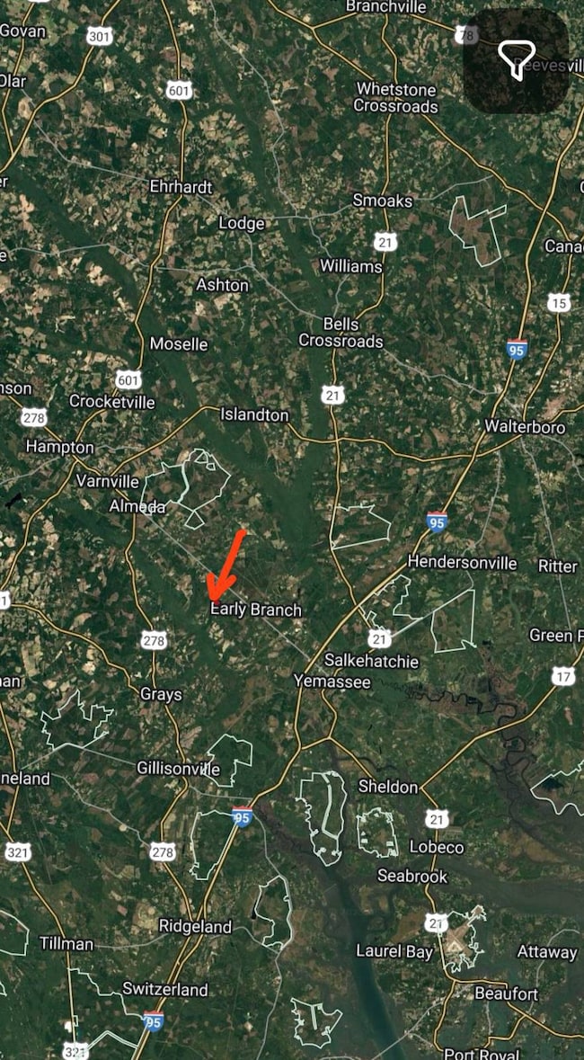 1412 Sinclair Rd, Early Branch, SC 29916 - photo 2