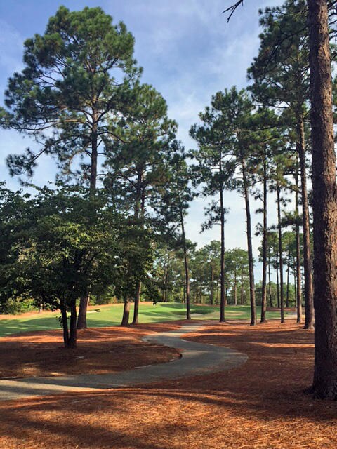 30 Prestwick Ct, Pinehurst, NC 28374 - photo 2