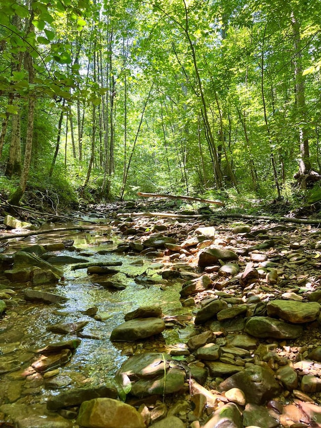 0 S Side Chenoweth Fork Rd, Sunfish Township, OH 45660 - photo 2