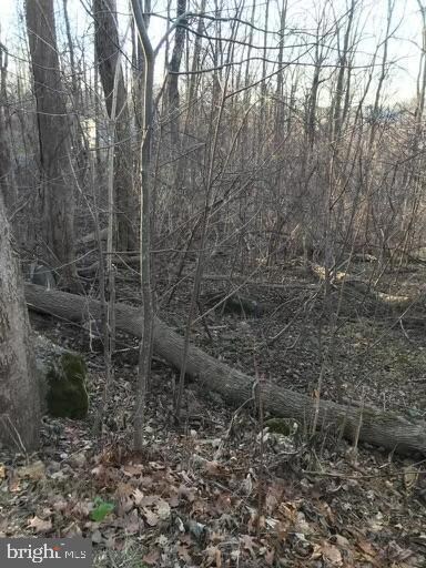 0 Northern Spy Dr, Linden, VA 22642 - photo 5
