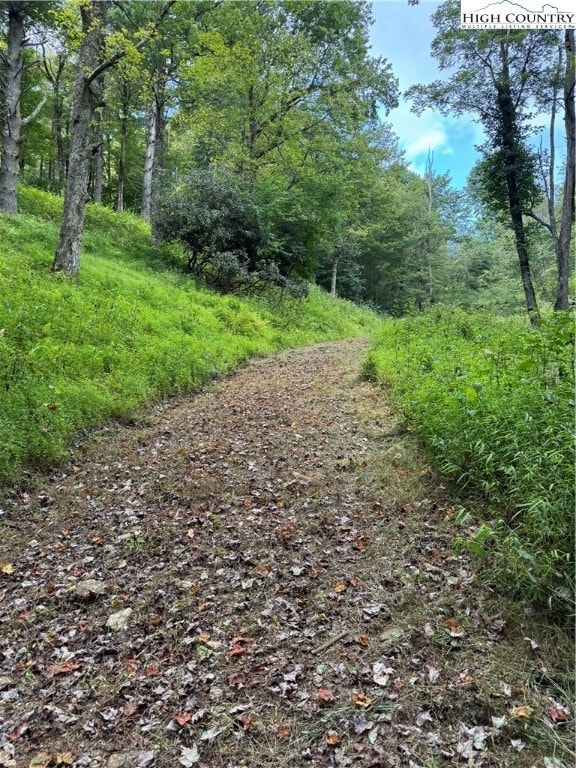TBD Wyeth Dr, Blowing Rock, NC 28605 - photo 3