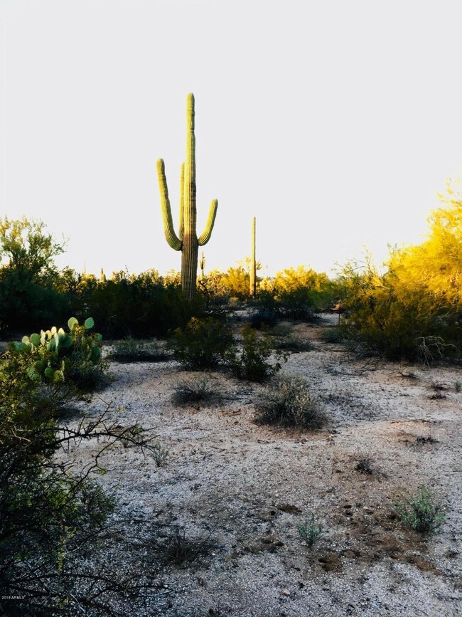 000 E Burro Ln unit 4&5, Florence, AZ 85132 - photo 5
