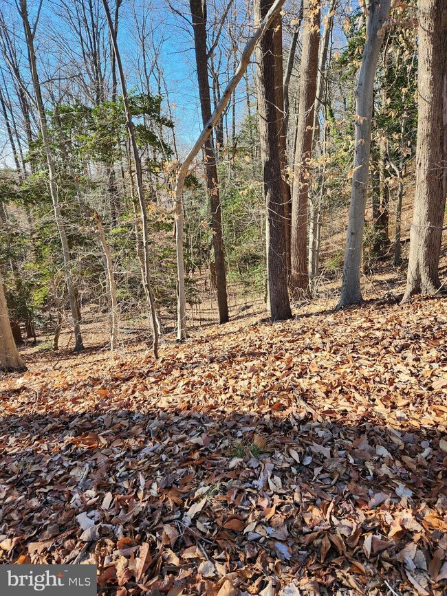 Lot 72 Plantation, Montross, VA 22520 - photo 4