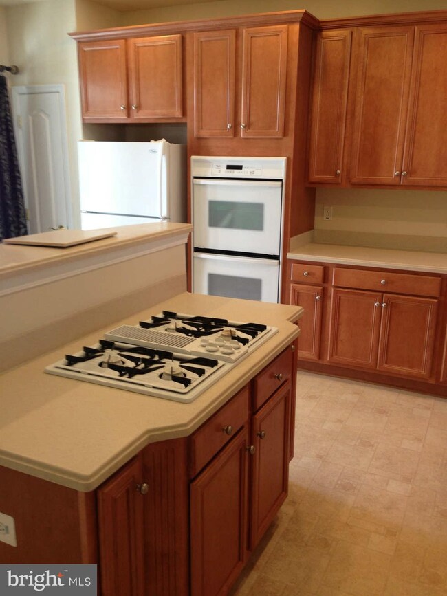 589 Kingfisher Ave, Gaithersburg, MD 20877 - photo 7