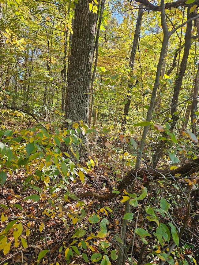 0 Heddleson Ridge 3