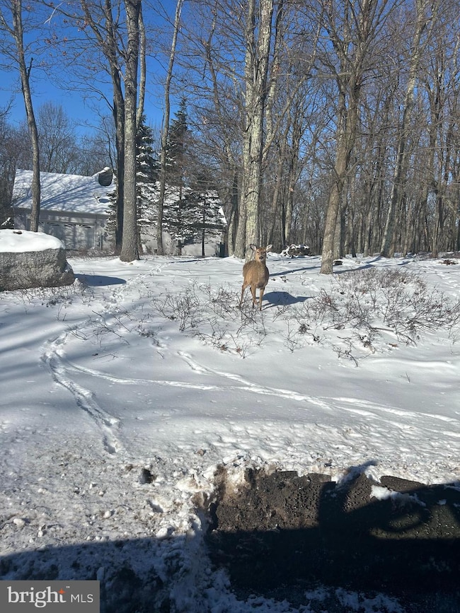 31 Turnberry Ln, Hazle Township, PA 18202 - photo 3