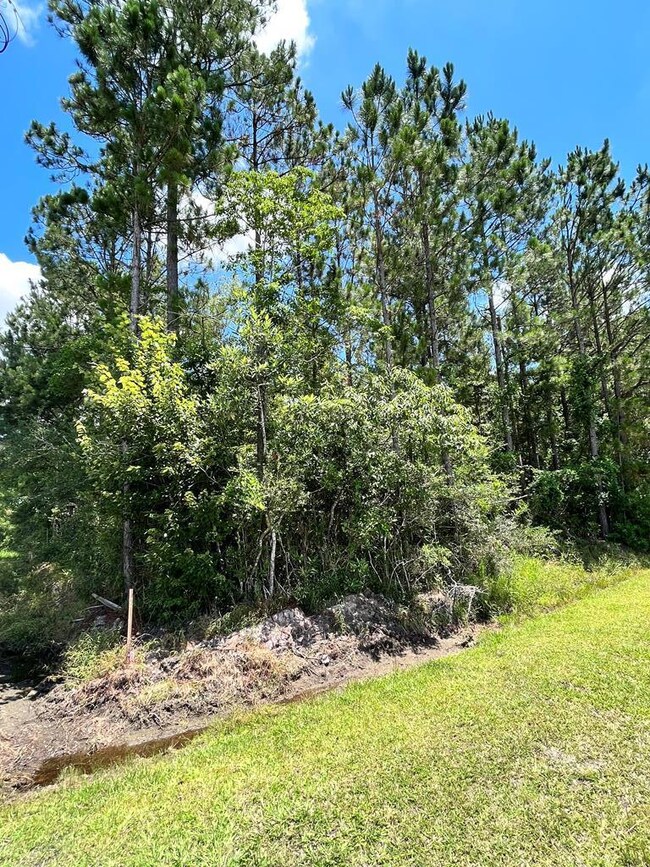 11145 Road 259, Picayune, MS 39466 - photo 3