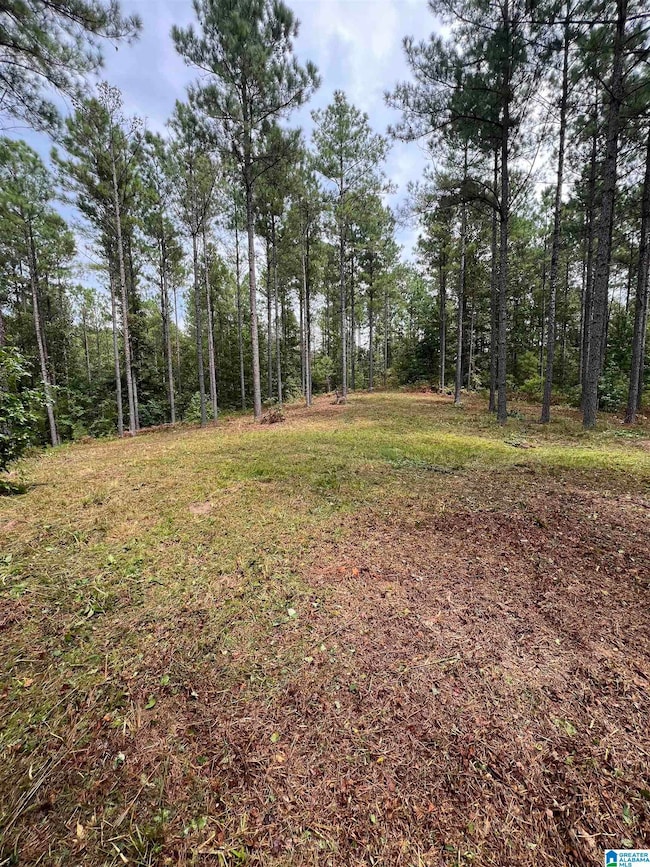 740 Sweet Apple Rd unit 1, Cropwell, AL 35054 - photo 4