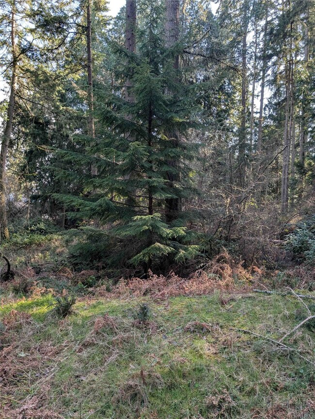 10325 Totem Way, Anderson Island, WA 98303 - photo 5