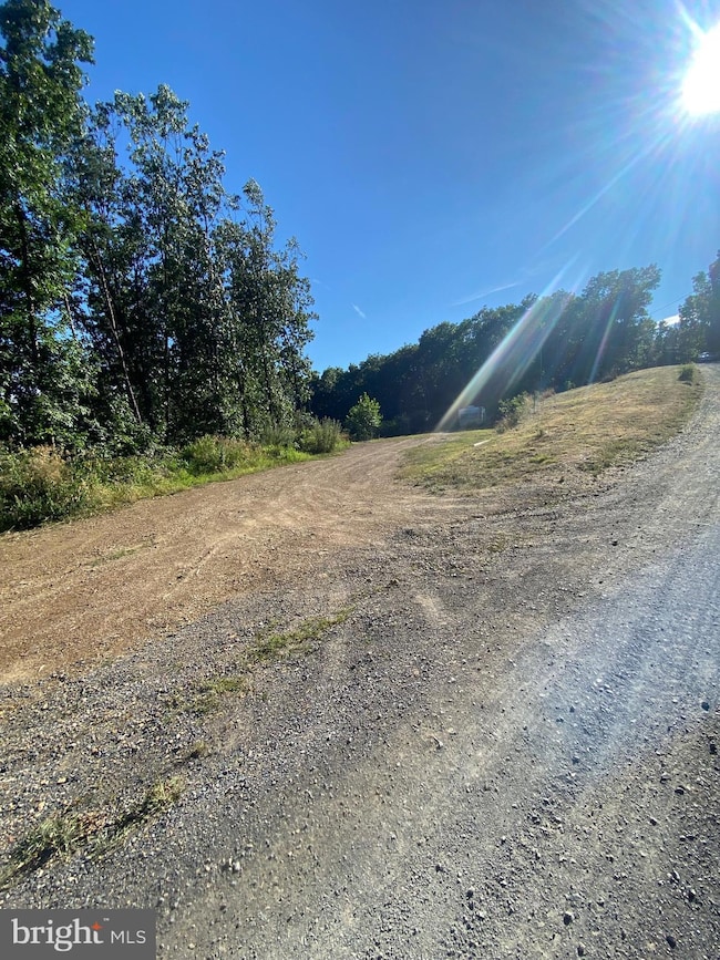 1400 Outlaw Trail, Maysville, WV 26833 - photo 3