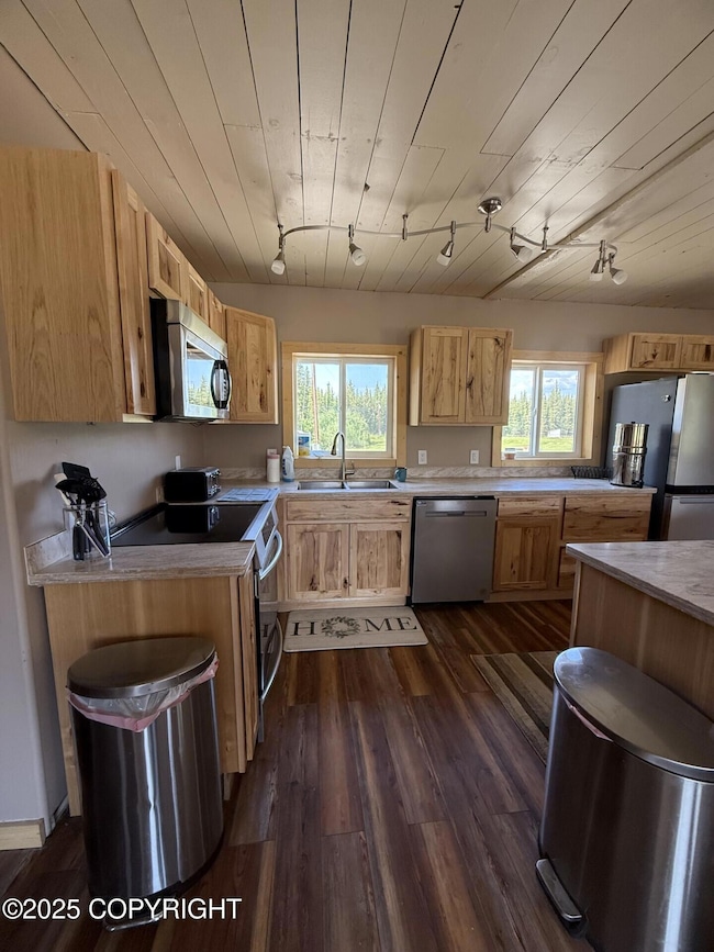 Mile 11.1 Edgerton Hwy, Copper Center, AK 99573 - photo 6