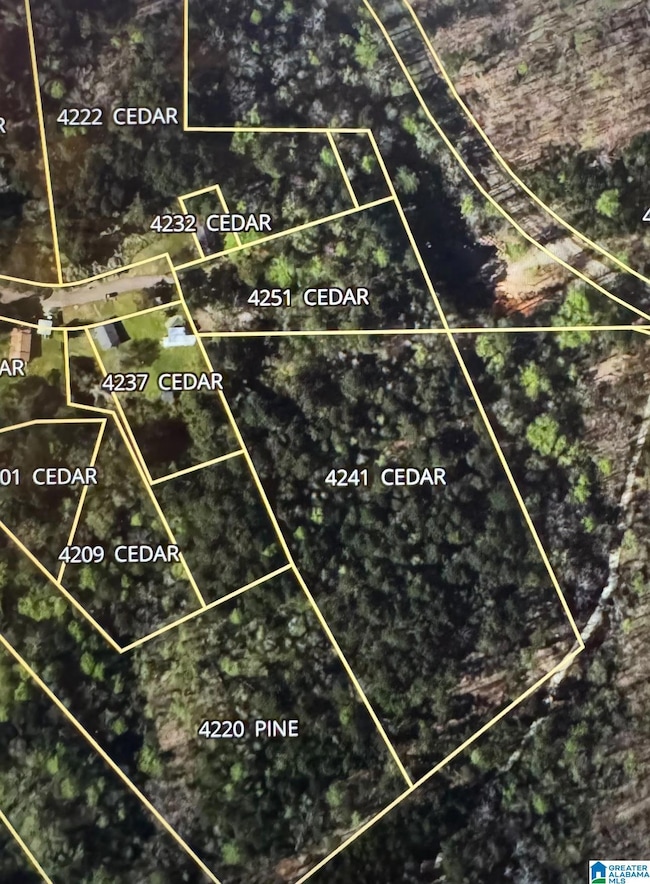 4251 Cedar St unit 1, Irondale, AL 35210 - photo 2