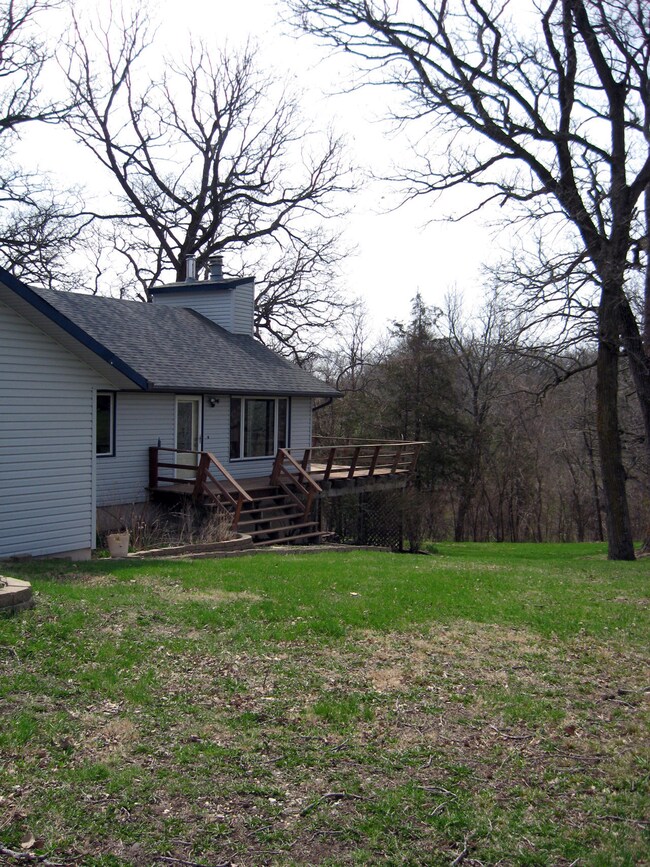 Deck and trees