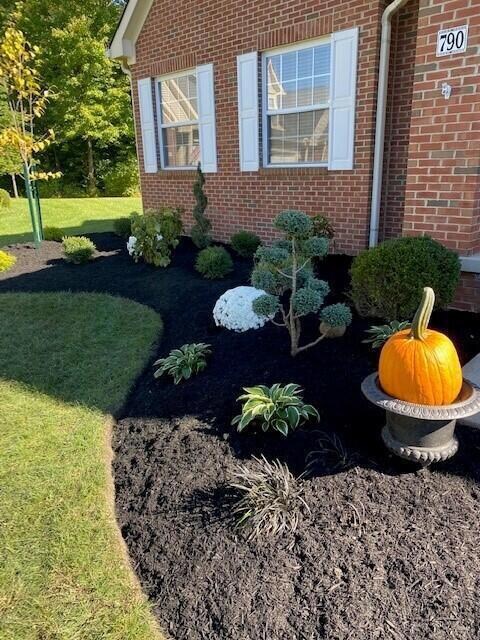 front landscaping 4