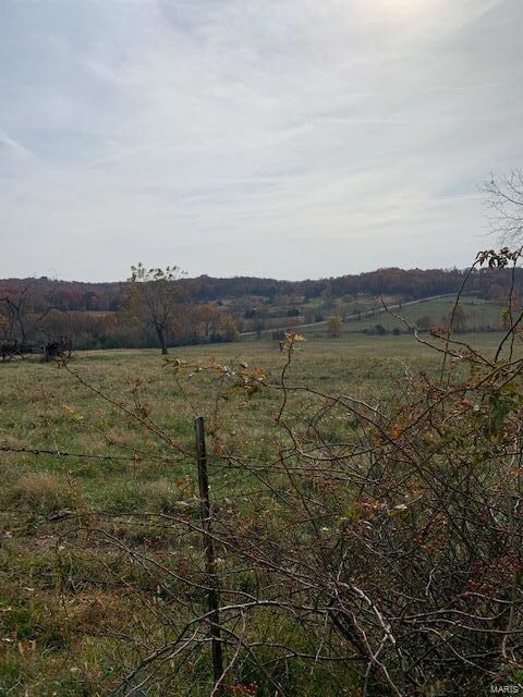 11320 County Road 2140, Rolla, MO 65401 - photo 6